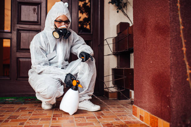 Reliable Cockroach Control contractor in Pocomoke City, MD by Nex Pest Control